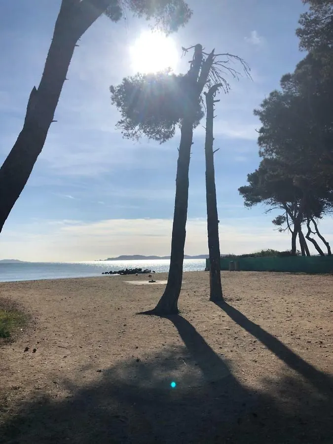 residence port hyeres les palmiers Appartement