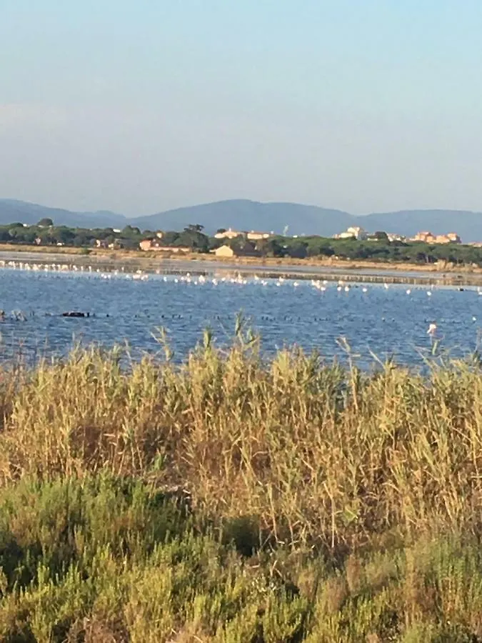 residence port hyeres les palmiers